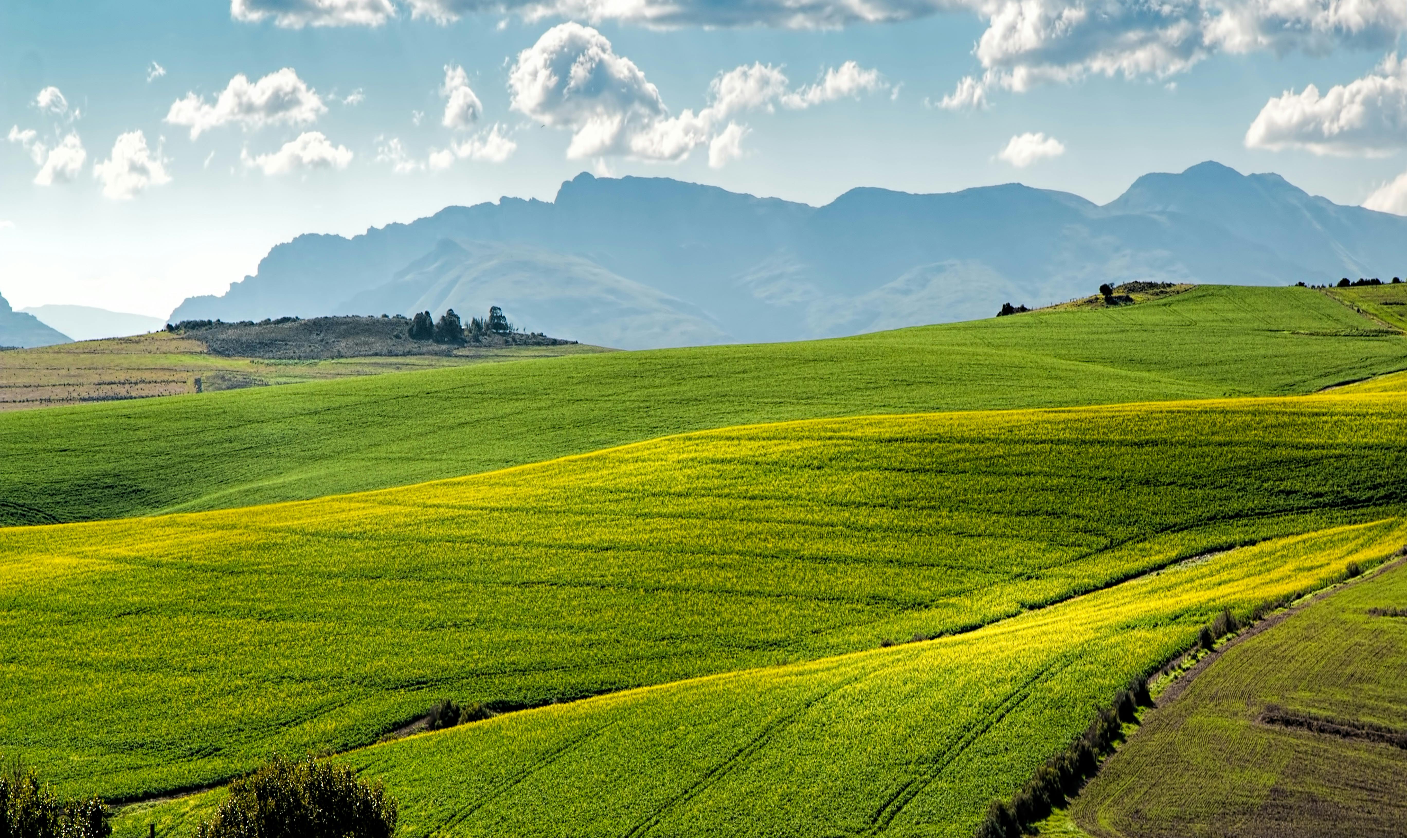 Rolling green fields with mountains in the background under a blue sky.