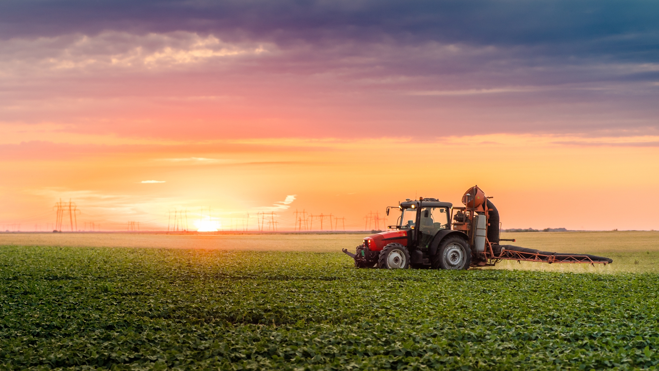 Tractor spraying soybean crops field